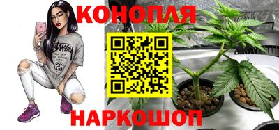 бошки Лесосибирск