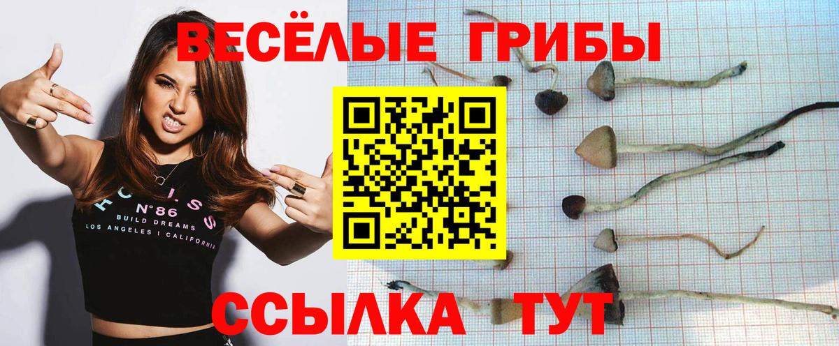 Псилоцибиновые грибы мицелий  Псилоцибиновые грибы ЛСД  Гудермес  Вход с VPN 