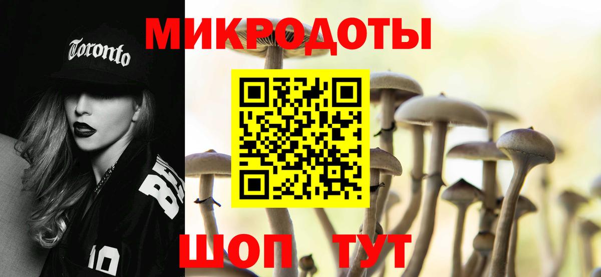 Псилоцибиновые грибы мицелий Гудермес